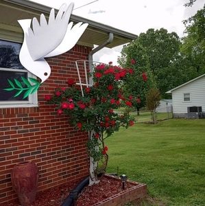 Meet your Posher, Hallie